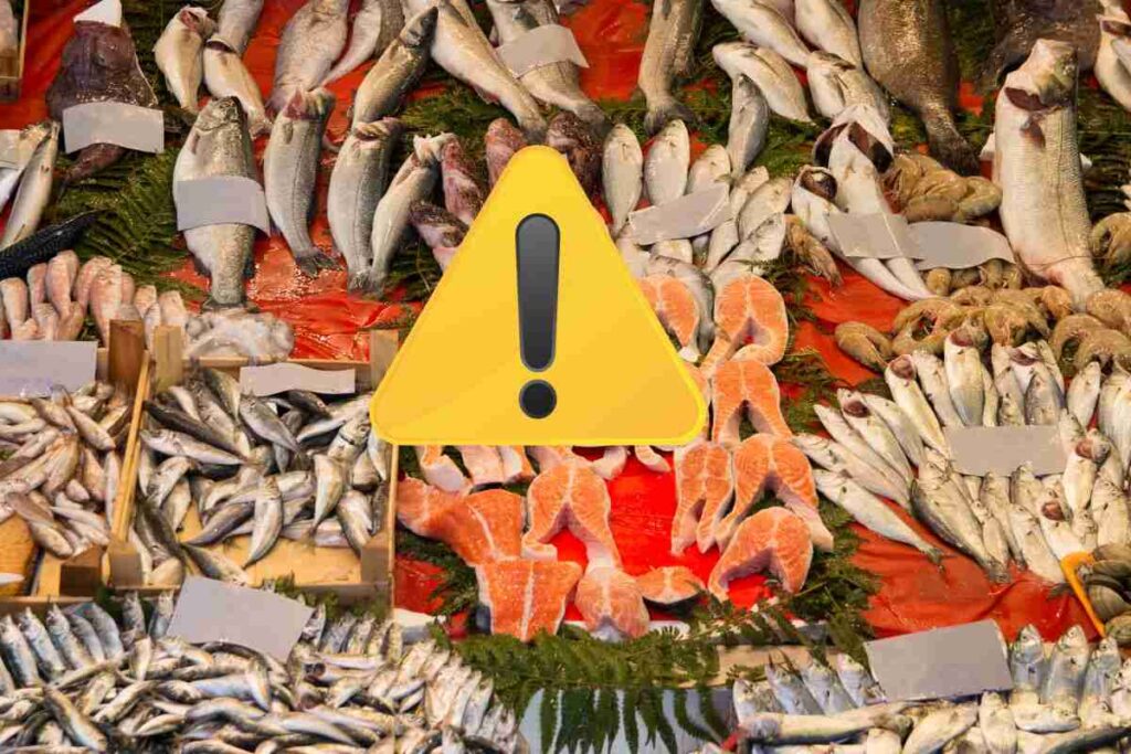 pesce e segnale di pericolo