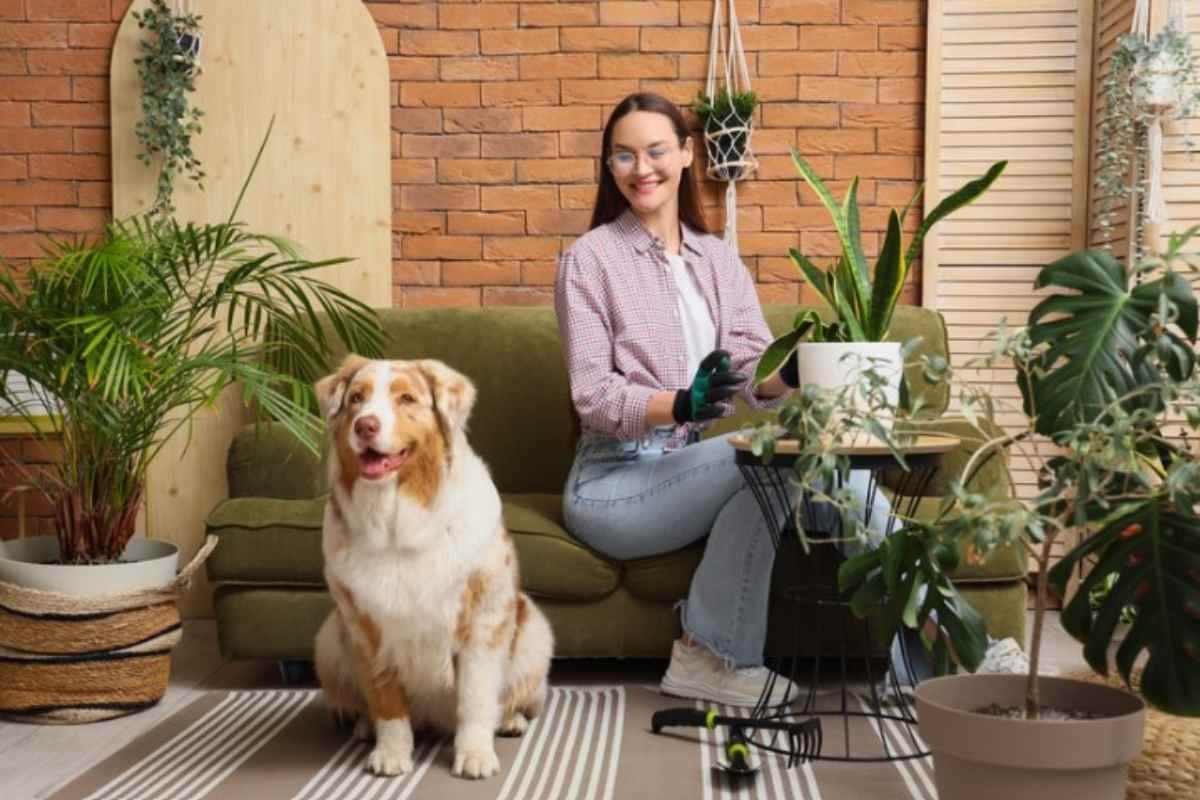 donna che guarda il suo cane in terrazzo