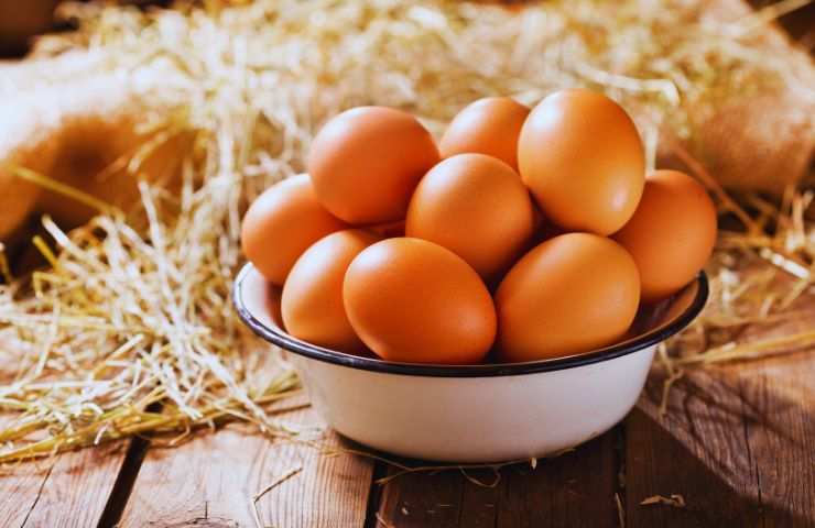 uova in una ciotola