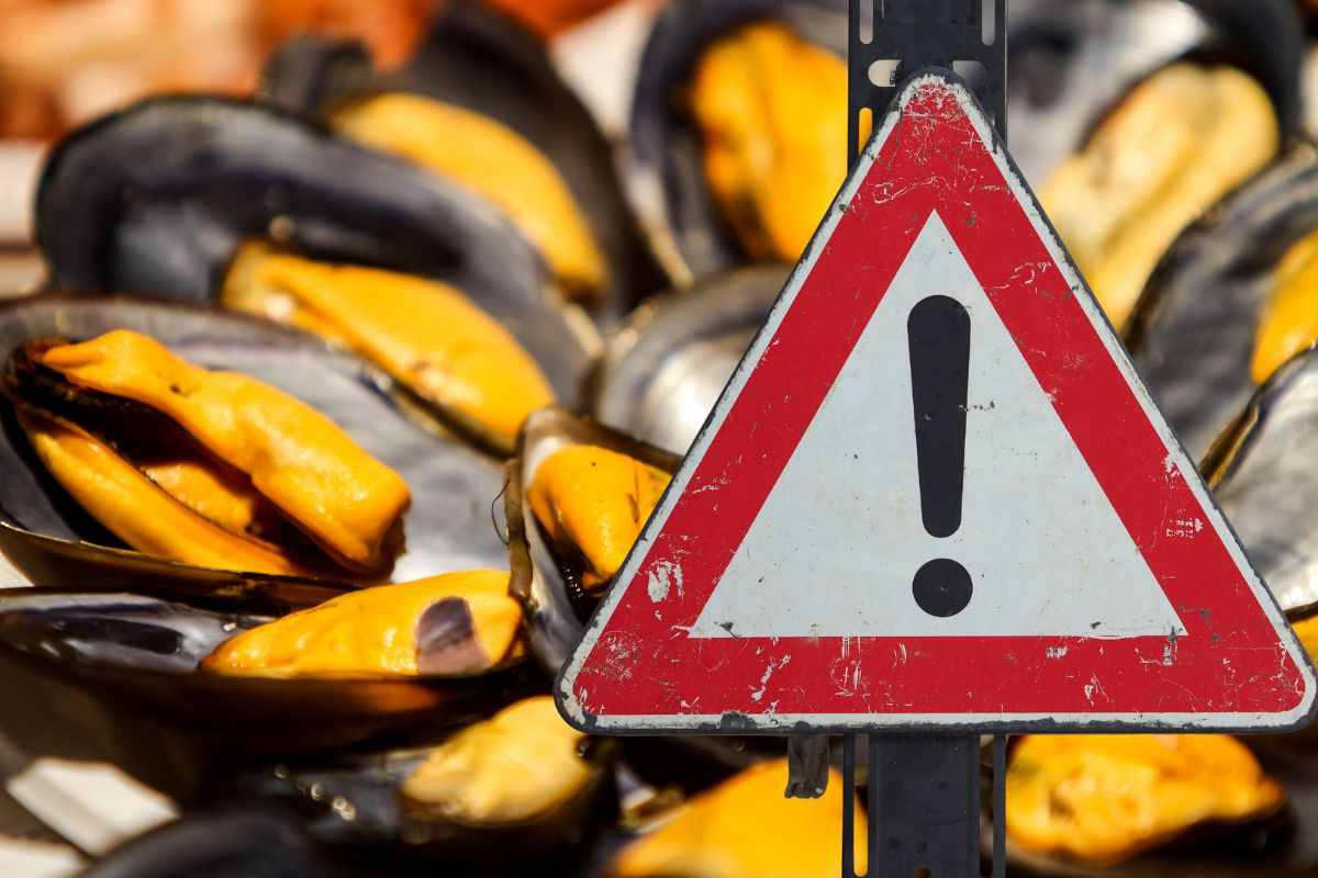 cozze e cartello allarme