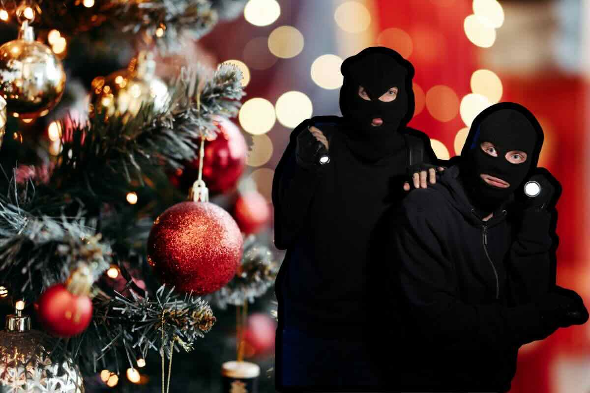 Albero di Natale, decorazione, ladri