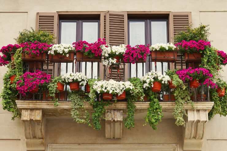 balcone pieno di fiori