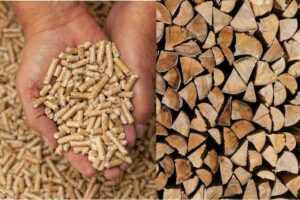 Pellet, legna