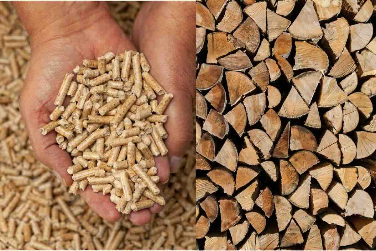 Pellet, legna