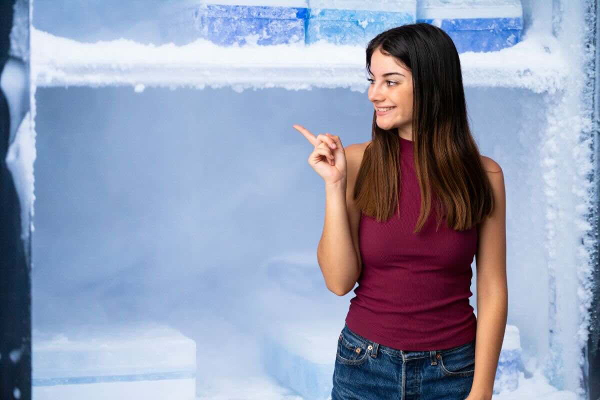Donna indica freezer