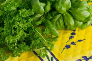 Prezzemolo e basilico in foglie su superficie gialla