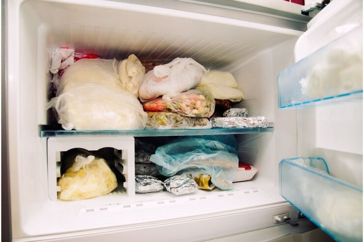 Freezer con cibo congelato 